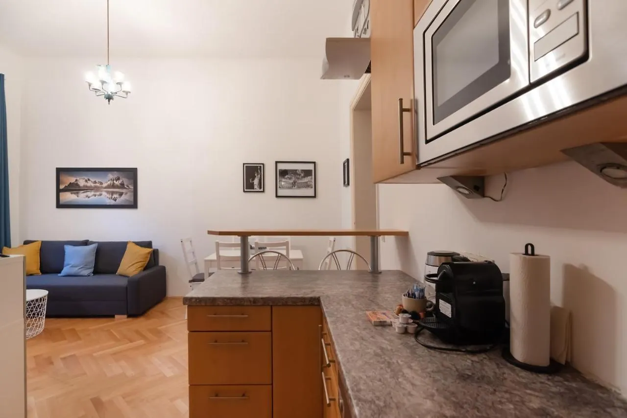Zentrale Ruhelage Im Typischen Wiener Altbau Austria